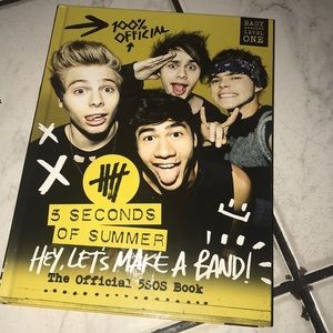 5 Seconds Of Summer “Hey Let’s Make A Band!”